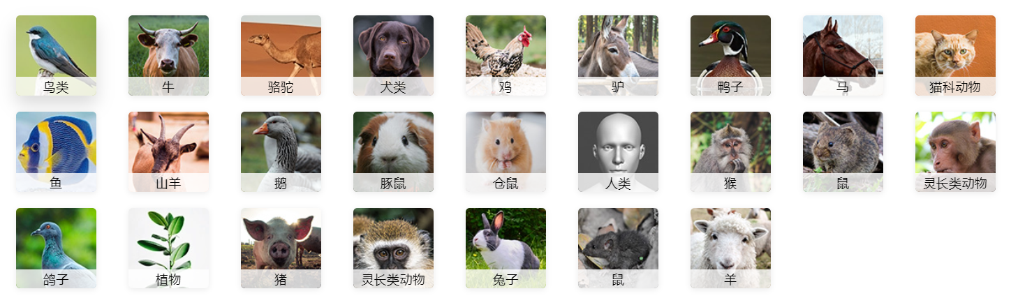 檢測物種.png