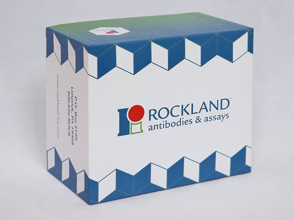 Rockland抗體