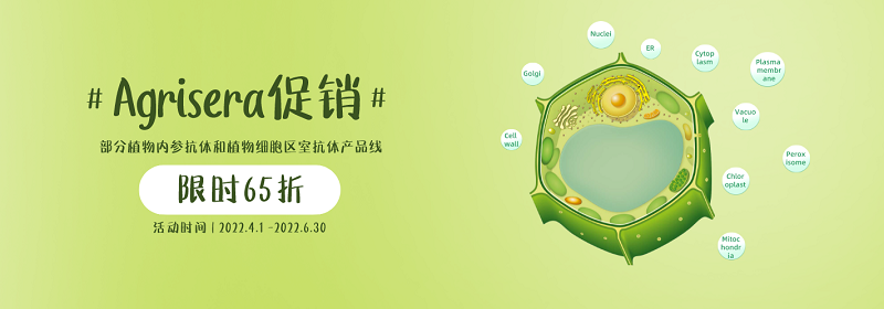 Agrisera部分植物內參抗體和植物細胞區室抗體促銷活動