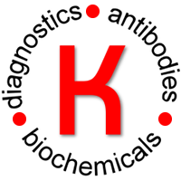 Kamiya代理