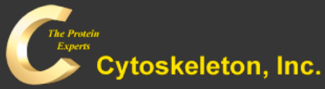 Cytoskeleton.png