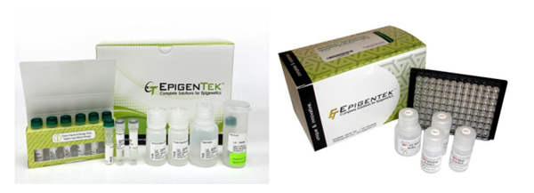 Epigentek-2.png