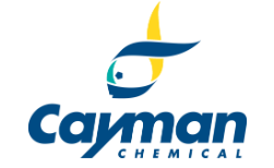 cayman.png