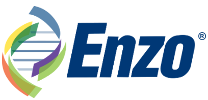 Enzo.png