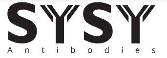 sysy.jpg