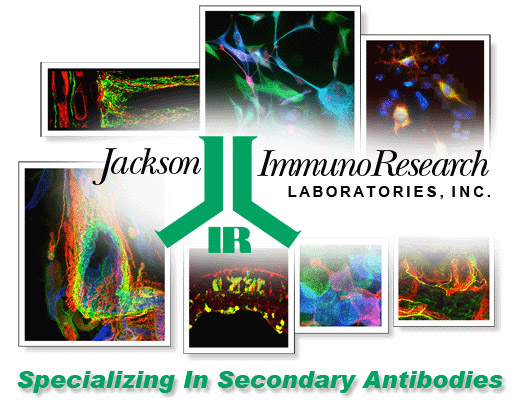 Jackson ImmunoResearch原裝進口大包裝酶標二抗熱銷中