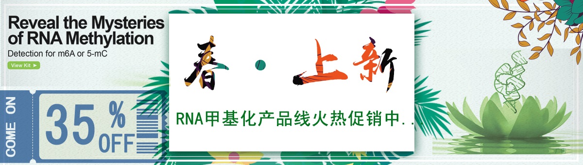 SBA促銷.jpg