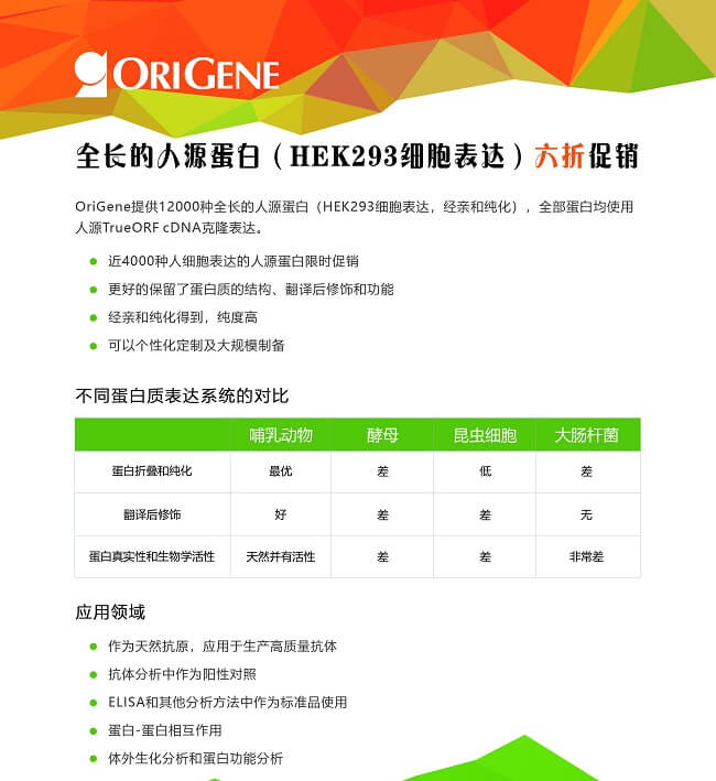 蛋白促銷單頁