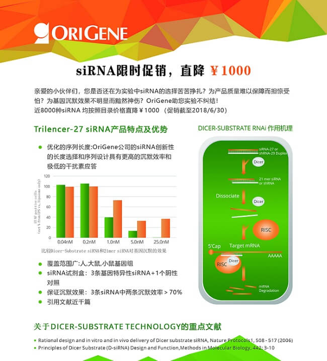 siRNA促銷單頁