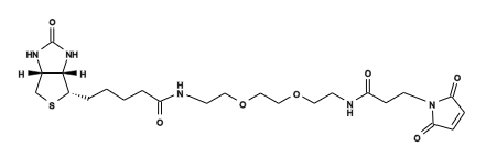 Biotin3.png