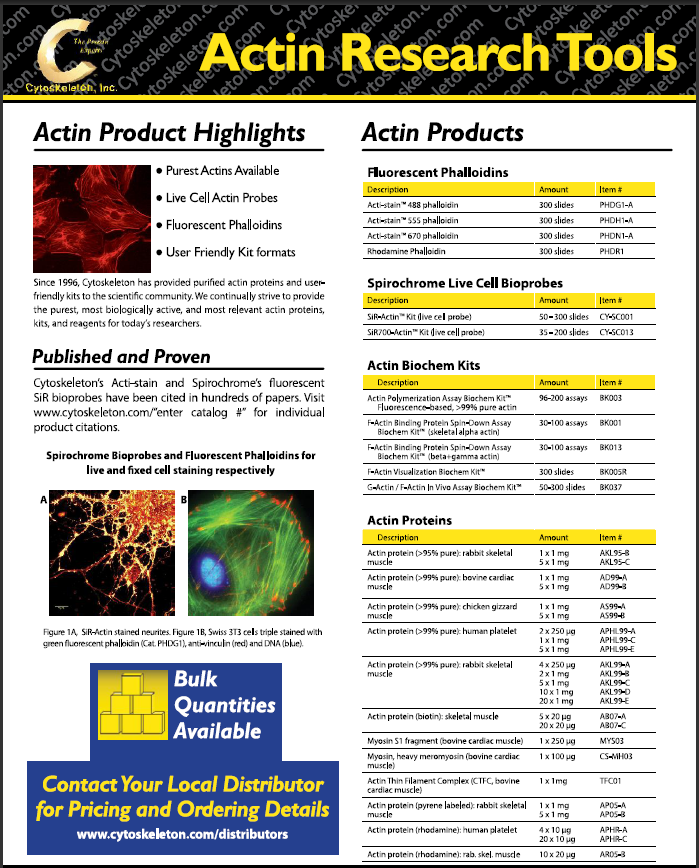 actin-Flyer-190724.png