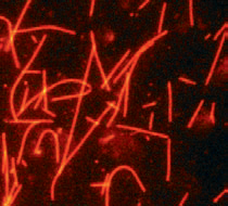 b066ca5327a2fa6d40a0b45e71f6e834.png