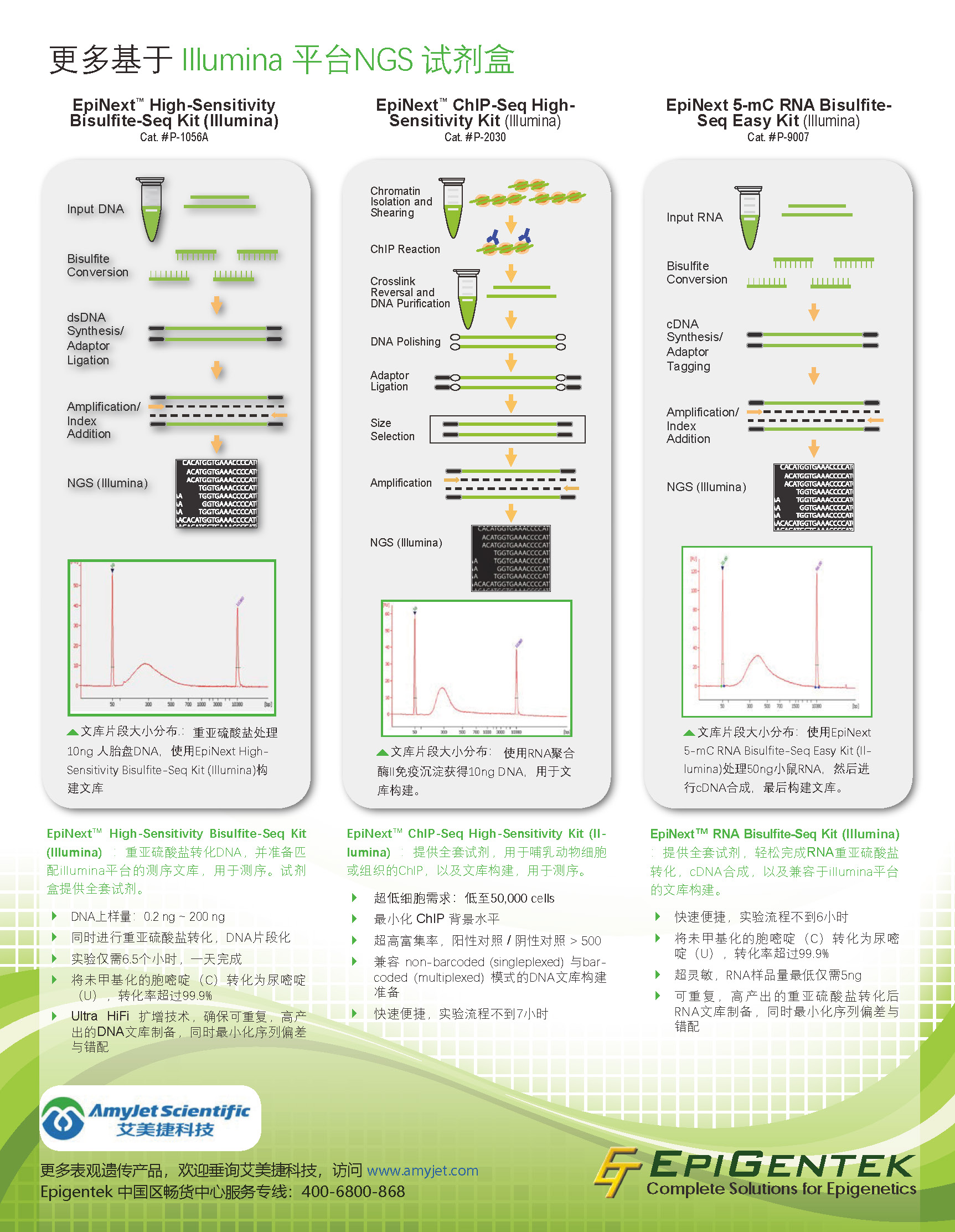NGS 完整解決方案 在Epigentek_頁面_2.jpg