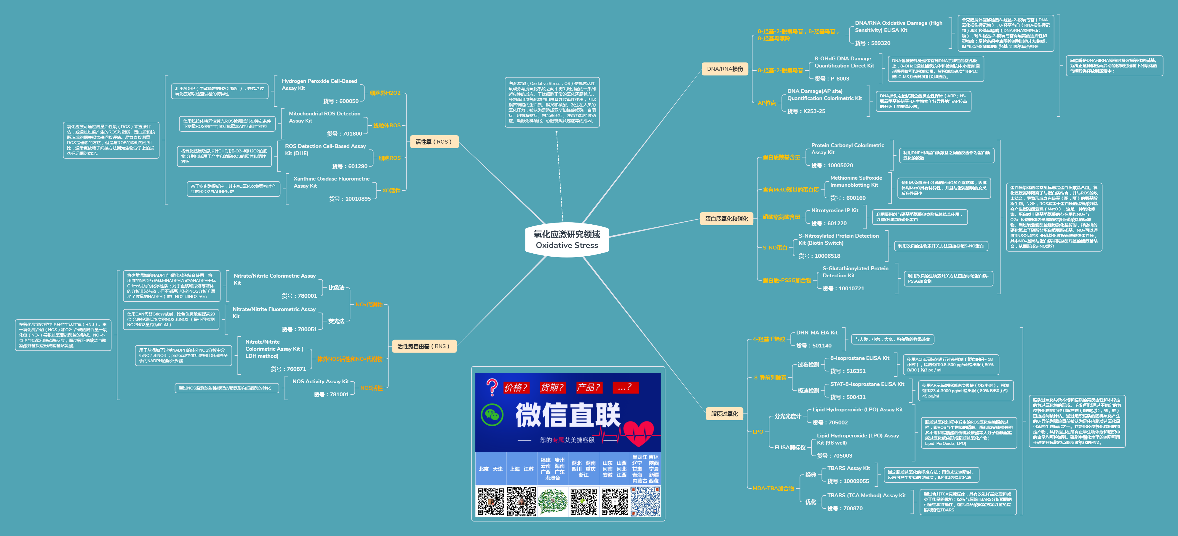 氧化應激研究領域Oxidative Stress.png