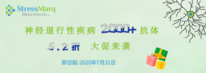 促銷圖.png