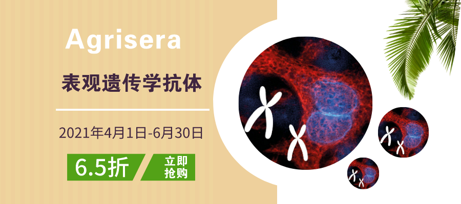 Ageisera-Q2促銷-文章小banner.png