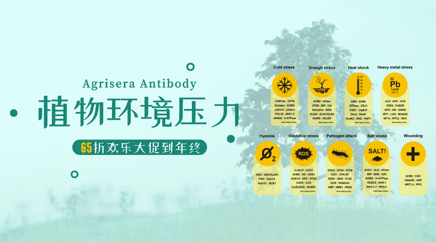 Agrisera助力植物環境壓力研究.gif