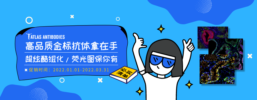 Atlas antibodies高品質抗體新年鉅惠