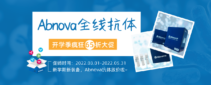 Abnova全線抗體，開學季瘋狂大促