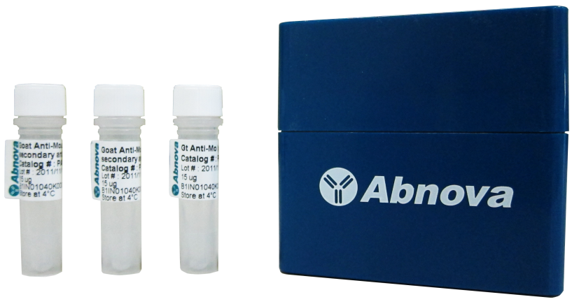 Abnova全線抗體產品