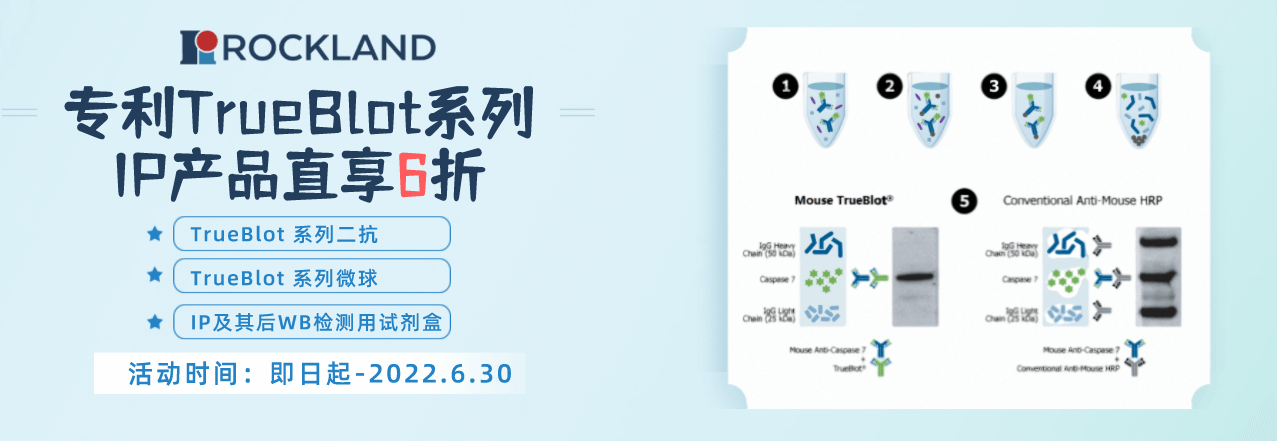 Rockland-各類IP用的二抗、微球、試劑盒促銷活動