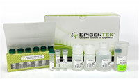 EpiQuik CUT&RUN m6A RNA 富集 (MeRIP) 試劑盒