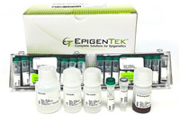EpiNext cTIP (CUT&Tag原位) ChIP文庫構建測序試劑盒