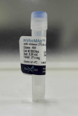BXC-BE0164-25mg.png