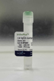 BXC-BP0089-25mg.png