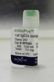 BXC-BP0089-5mg.png