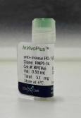 BXC-BP0146-5mg.png
