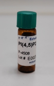 EEB-P-4508-100UG.png