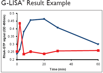 Small G Protein-2.png
