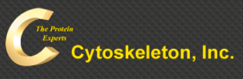 Cytoskeleton.png