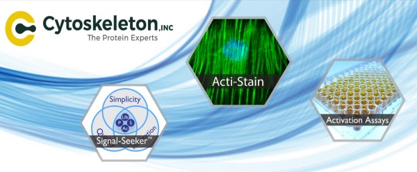 Cytoskeleton.jpg