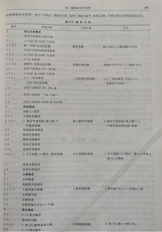 酶的分類圖表.png