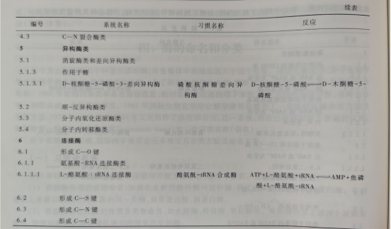 酶的分類圖表.png