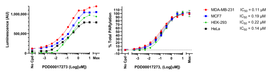 PARG抑制劑PDD00017273對不同細胞系中H2O2誘導的蛋白質PAR化的影響