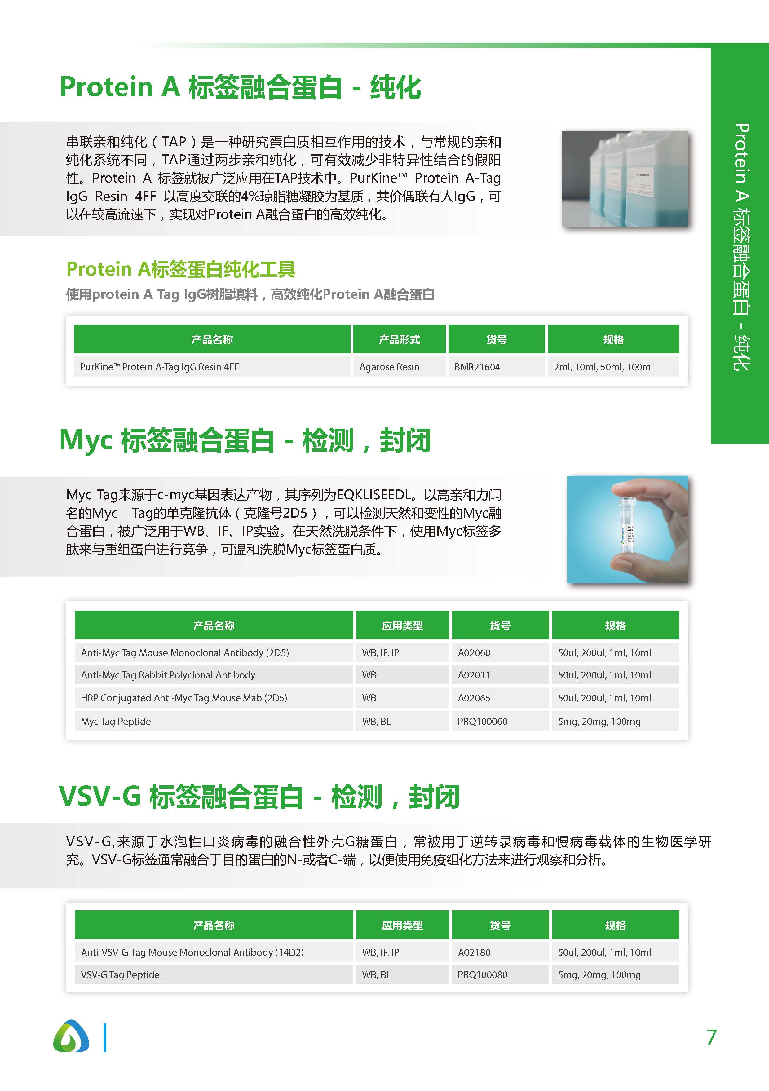 蛋白質&抗體純化和檢測工具