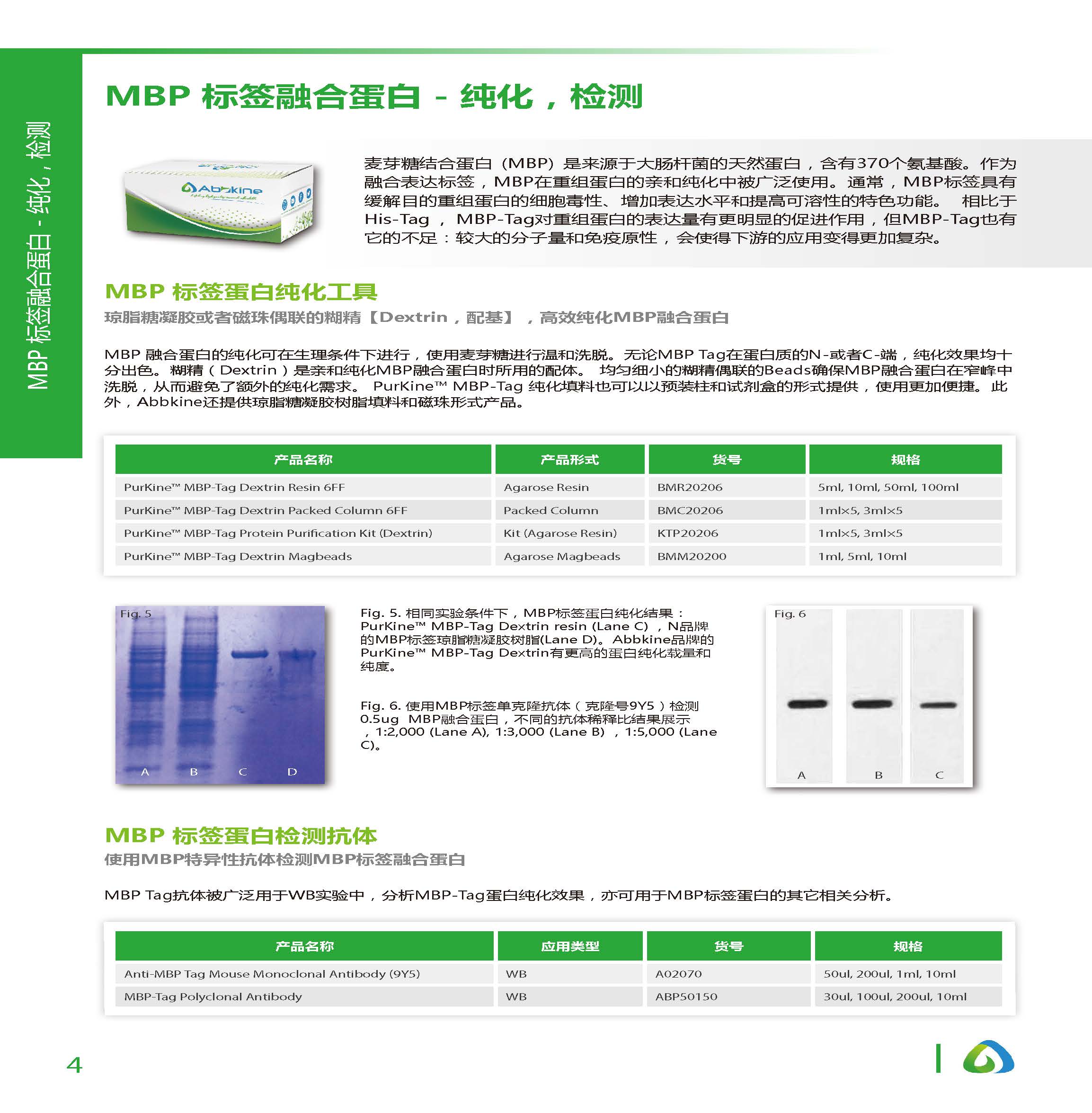 蛋白質&抗體純化和檢測工具