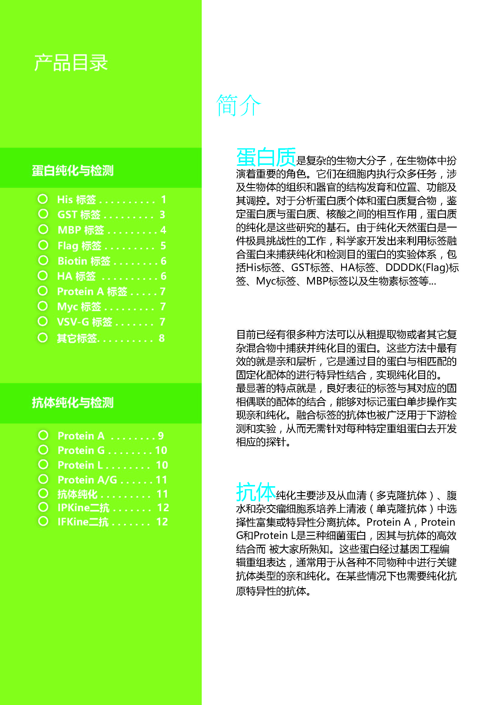 蛋白質&抗體純化和檢測工具