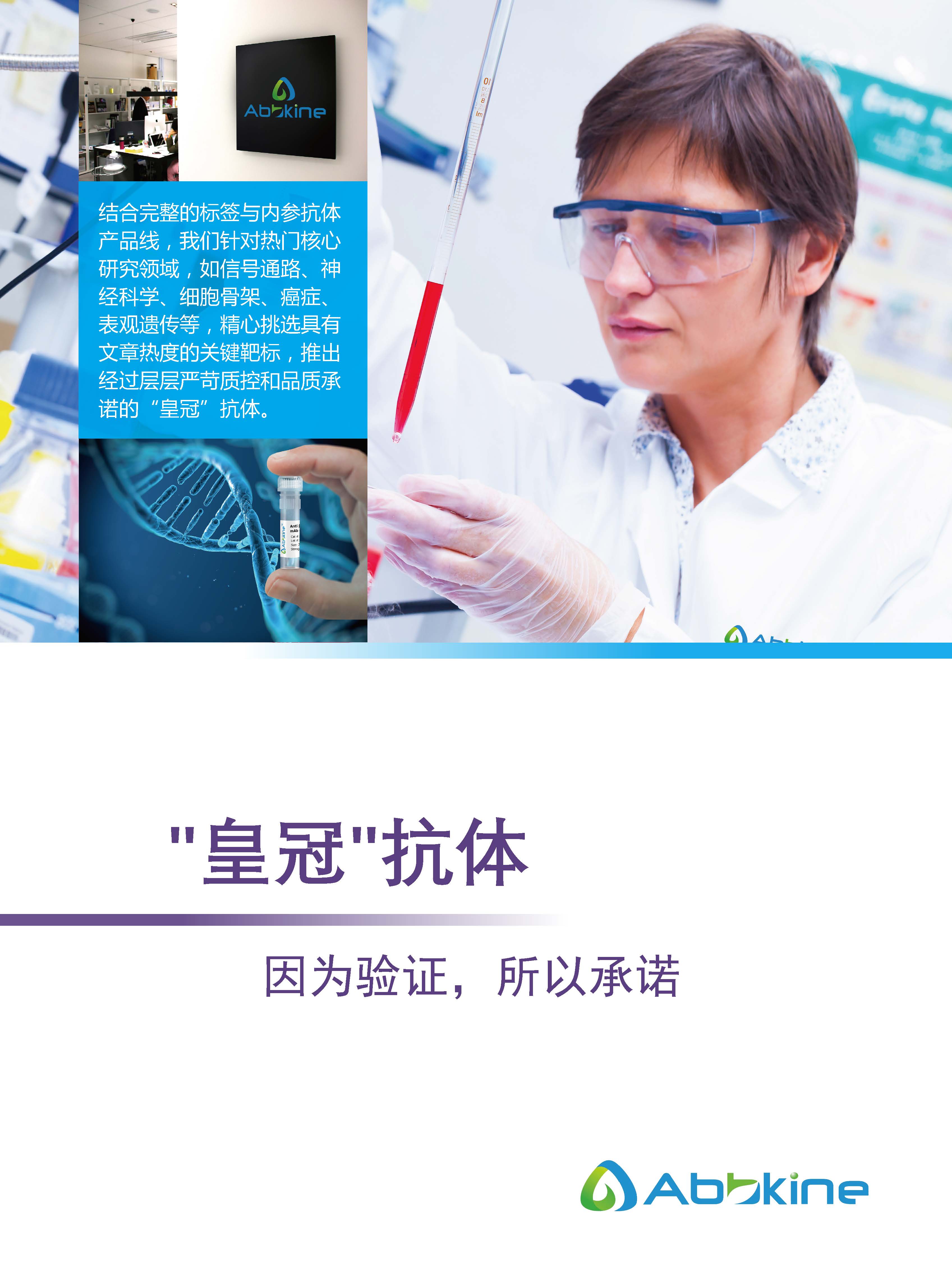 Abbkine“皇冠”抗體產品應用手冊