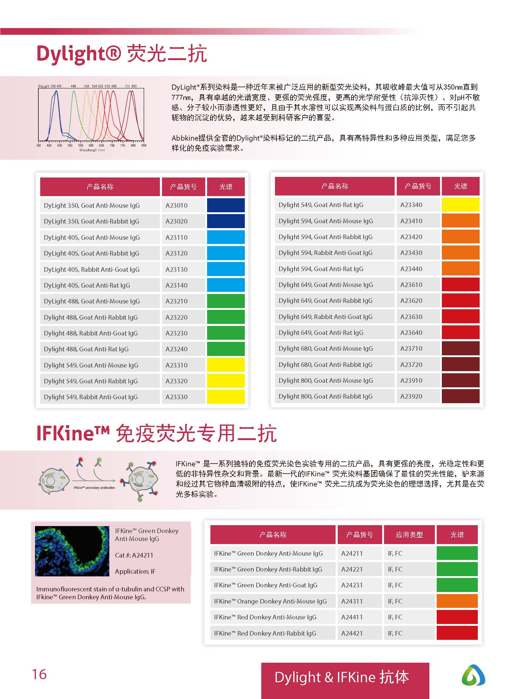 Abbkine“皇冠”抗體產品應用手冊