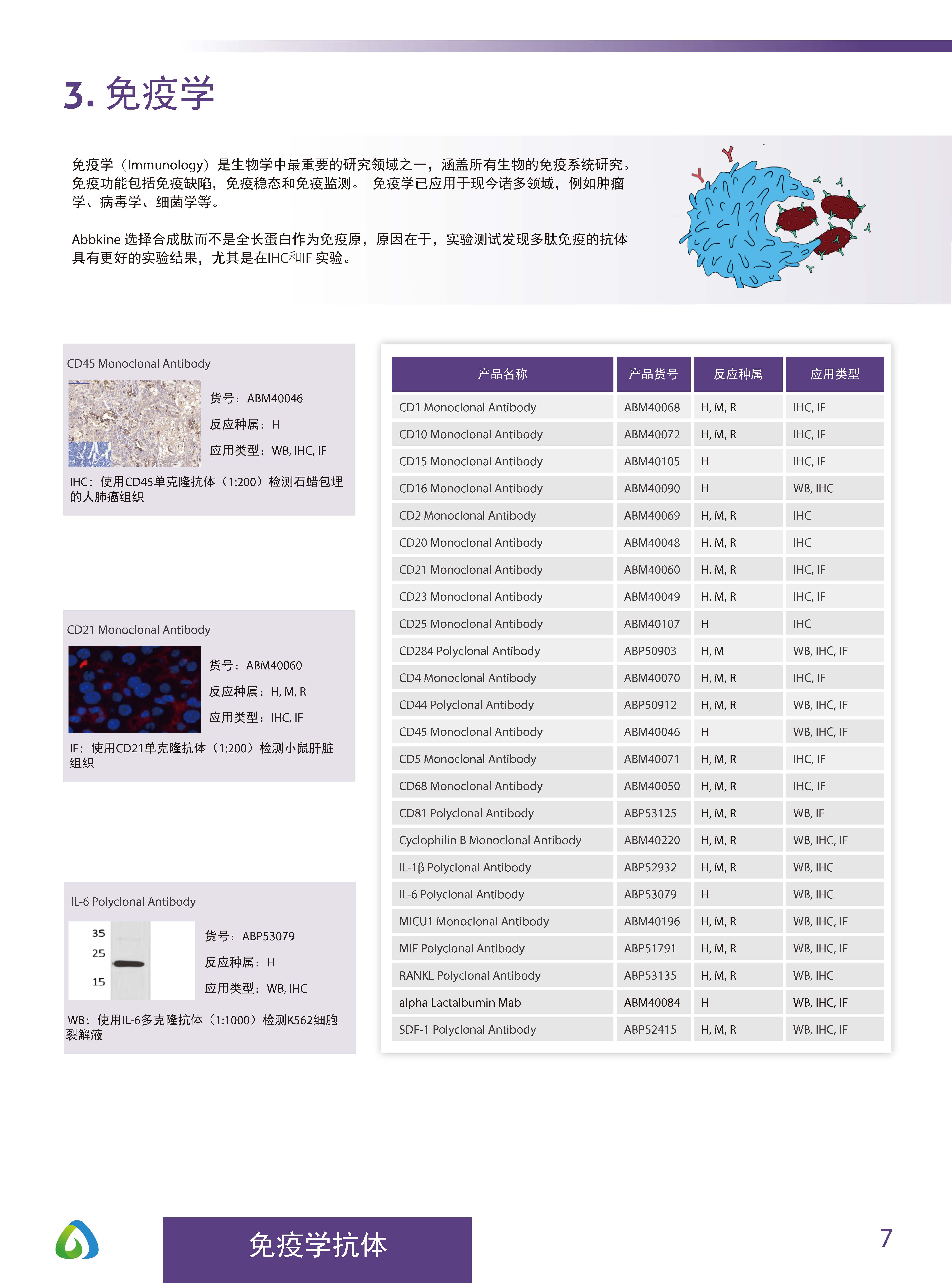 Abbkine“皇冠”抗體產品應用手冊