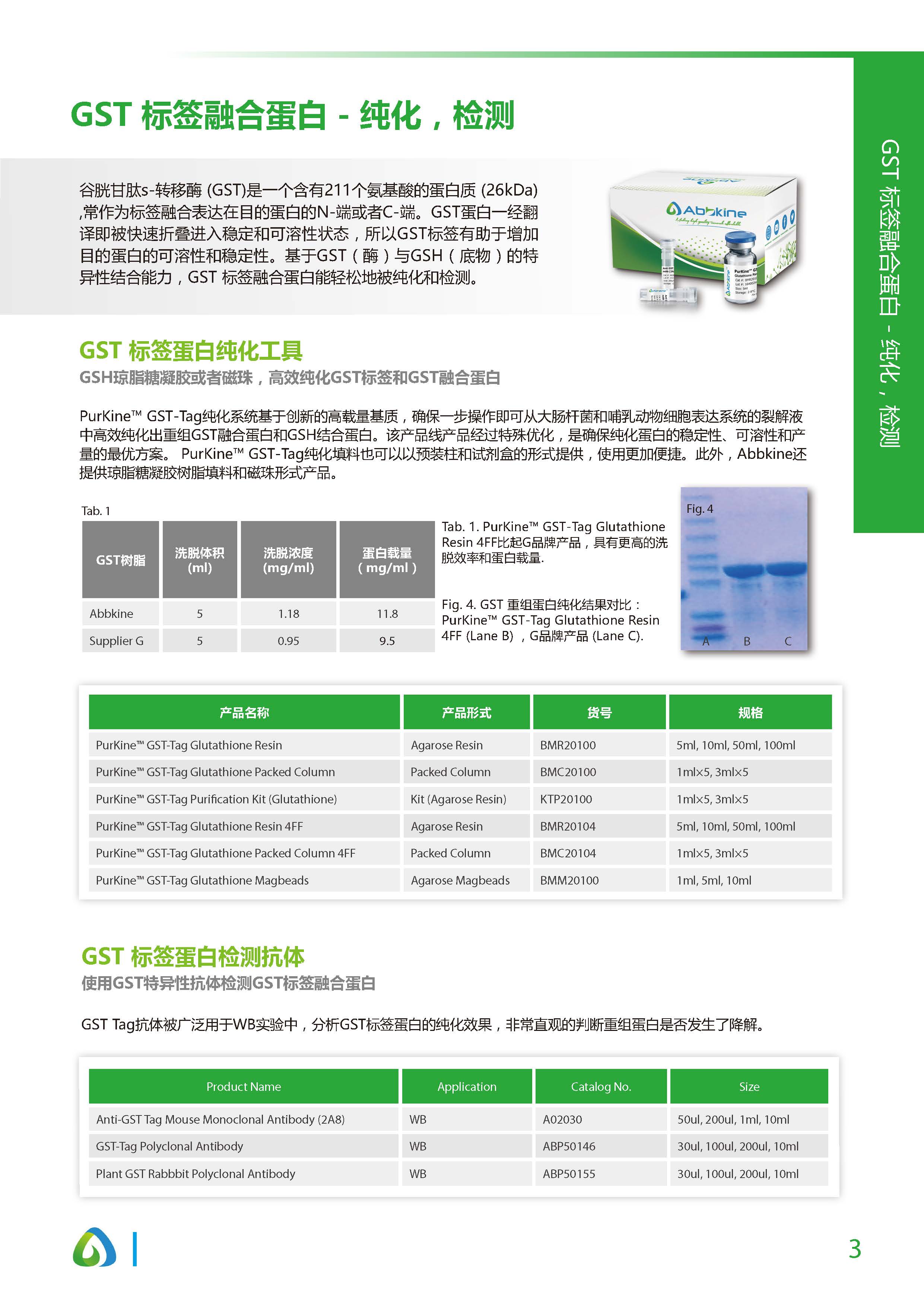 蛋白質&抗體純化和檢測工具