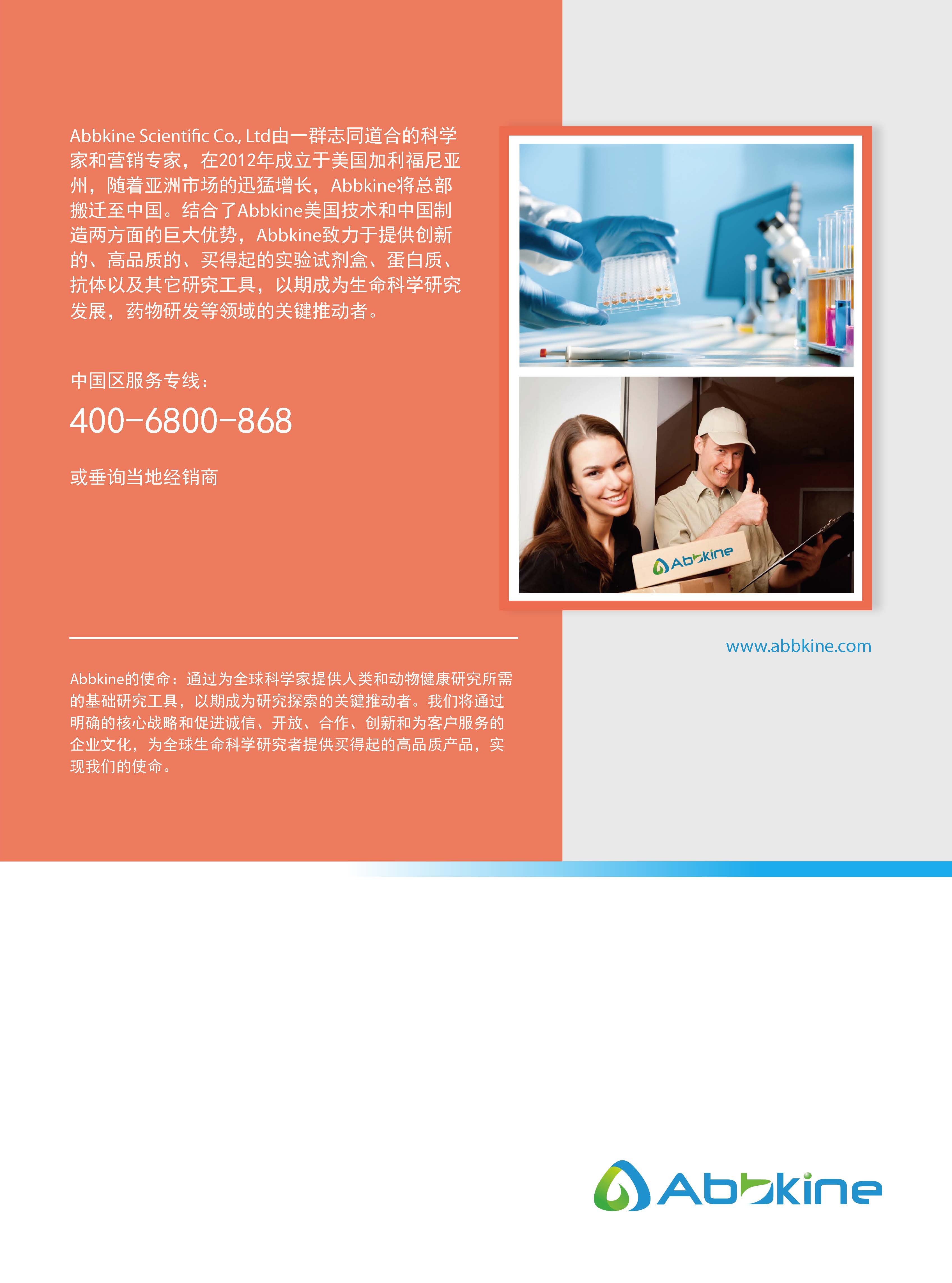 Abbkine EliKine&trade; ELISA 試劑盒應用手冊