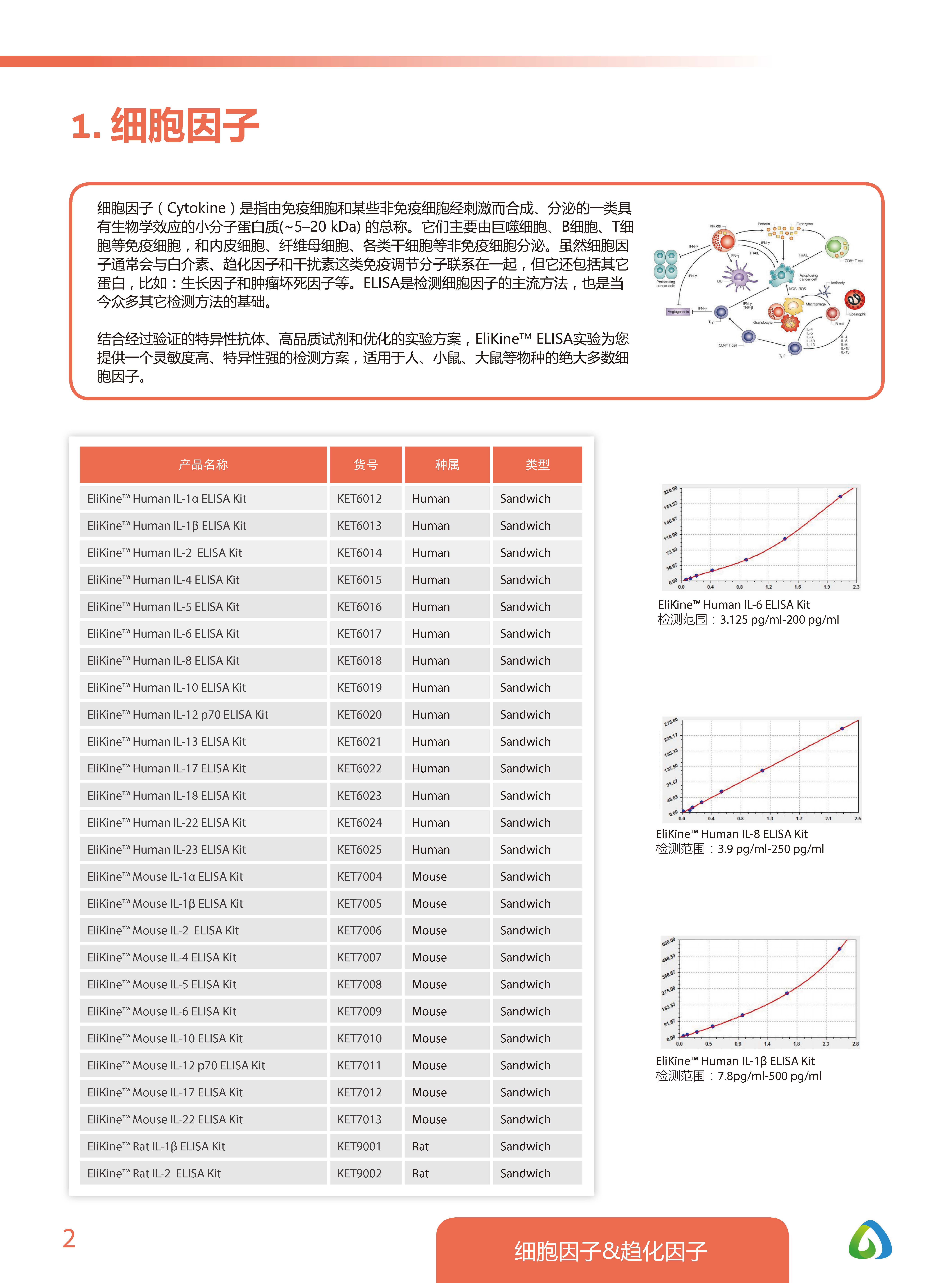 Abbkine EliKine&trade; ELISA 試劑盒應用手冊