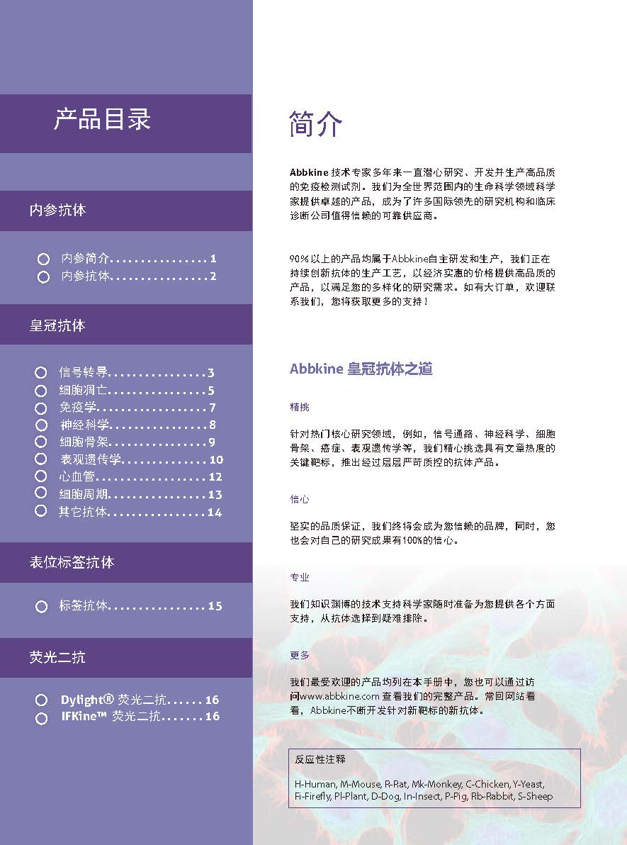 Abbkine“皇冠”抗體產品應用手冊
