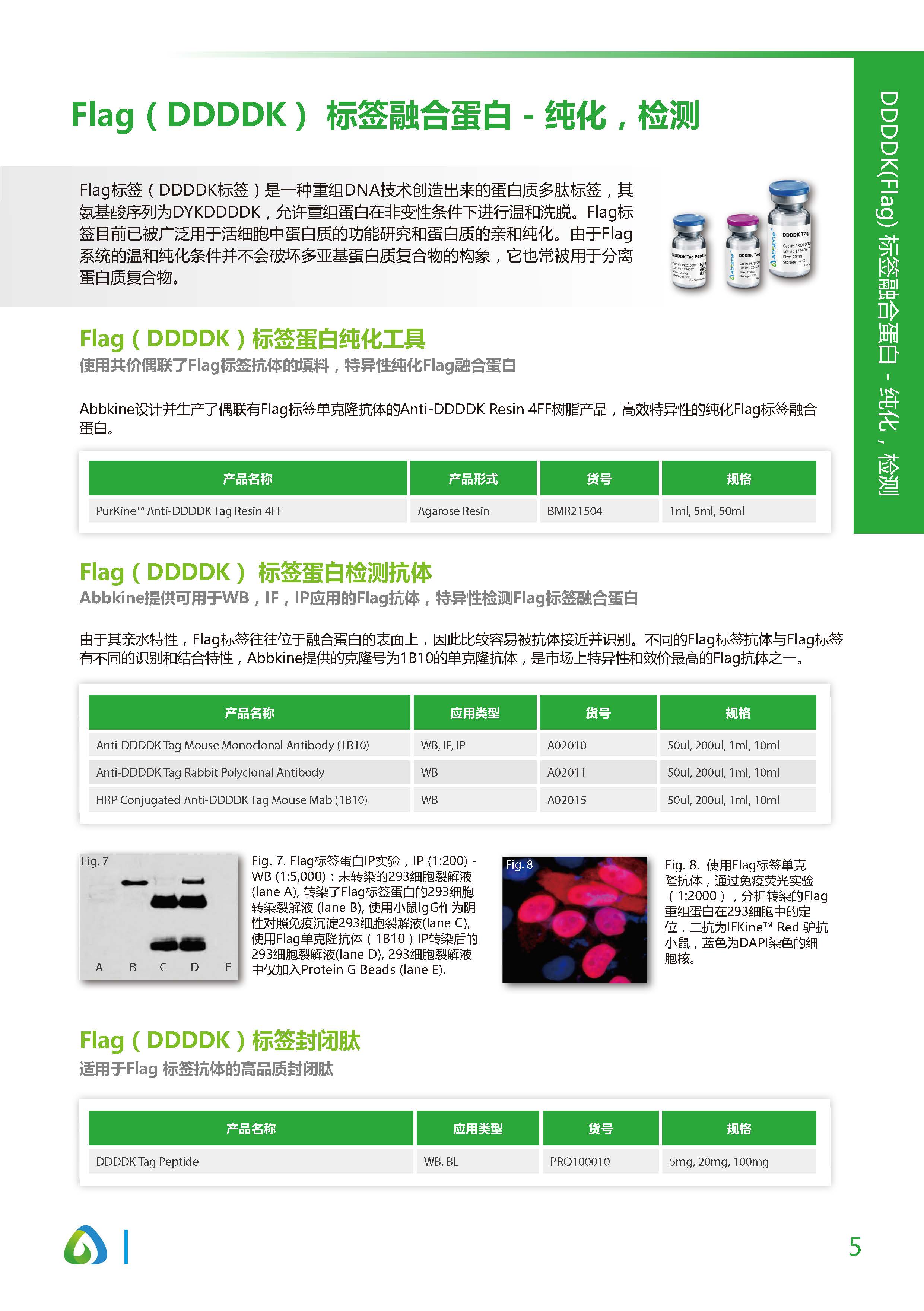 蛋白質&抗體純化和檢測工具