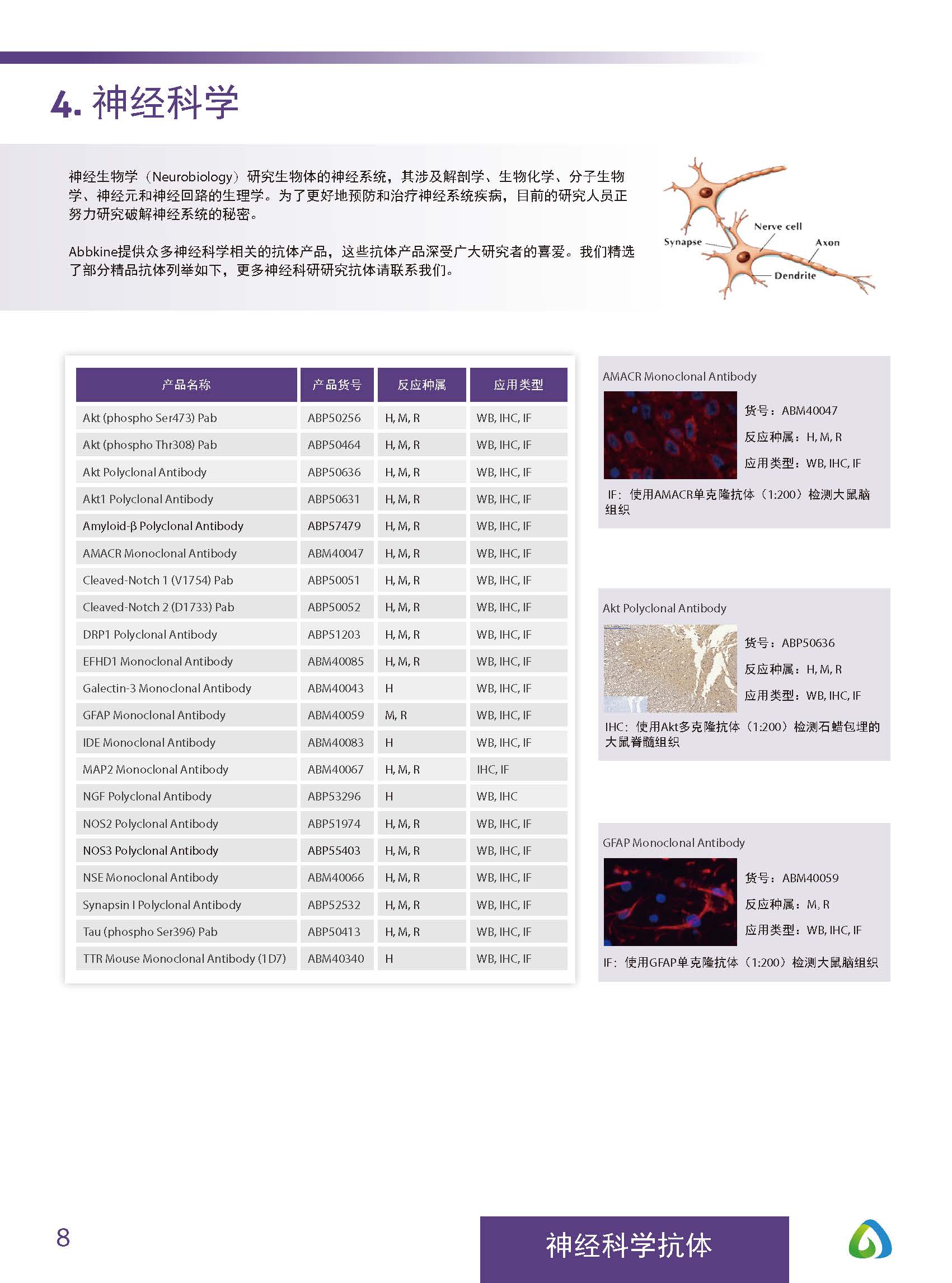 Abbkine“皇冠”抗體產品應用手冊